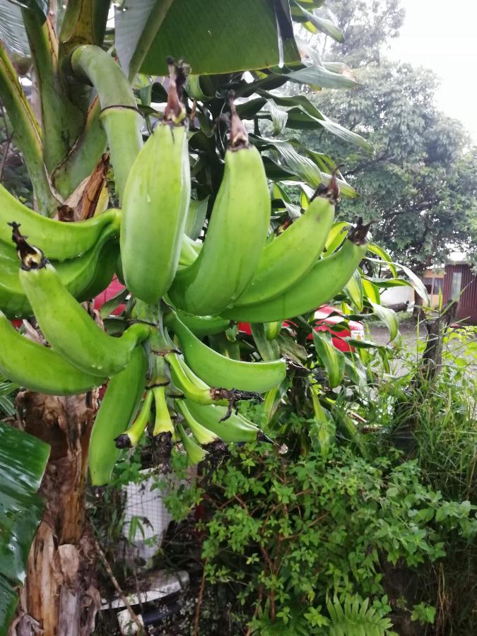 Monteverde Ecolove Kültér fotó